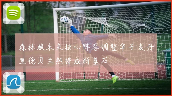 森林狼未来核心阵容调整华子麦丹里德贝兰热将成新基石